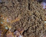 Foto langkah ke 4 dari resep Rendang asli Padang.