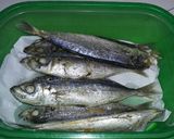 Foto langkah ke 1 dari resep Tips Menyimpan Ikan Pindang / Ikan Cue.