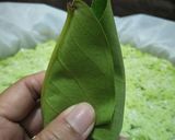 Foto langkah ke 7 dari resep Tape Ketan Hijau simple.