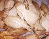 Foto del paso 11 de la receta: Tamalitos de anís con chocolate