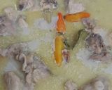 Foto langkah ke 3 dari resep Opor Ayam.