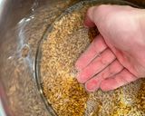 A picture of step 2 of How to cook spelt, or farro.