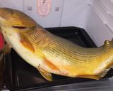 Foto del paso 1 de la receta: Dorado a la pizza