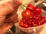 【電鍋版】櫻桃汁