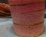 Foto del paso 8 de la receta: Fault Line Cake