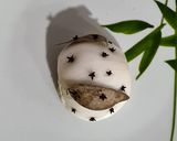 Foto del paso 2 de la receta: Espaguetti con salsa bechamel