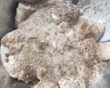 अफगानी तंदूरी मलाई चाप ( Afghani tandoori malai chaap रेसिपी चरण 2 फोटो