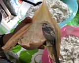 Foto del paso 8 de la receta: Tamales verdes de puerco