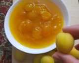 عکس مرحله 3 از دستور مربای زردآلو❤