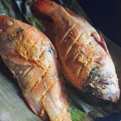 Langkah 5