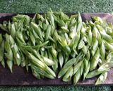 Foto langkah ke 3 dari resep Tumis buncis udang tempe.