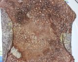 Mákosguba palacsinta (cukormentes, szénhidrátcsökkentett) recept fázis 5 fotója