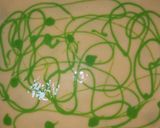 A picture of step 6 of Kiwi swiss roll cake.