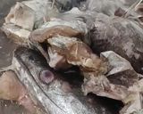 Gambar langkah 2 resipi Ikan Mayung Masak Rebus Asam.