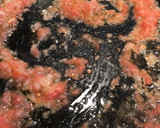 Foto del paso 8 de la receta: Gazpacho de bacalao y gamba rallada