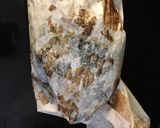 Foto del paso 1 de la receta: Broculi Asado con Parmesano