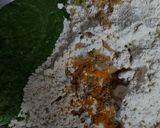 A picture of step 1 of Grilled Stuff Cottage Cheese nutty Platter.