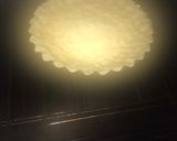 Foto del paso 2 de la receta: Torta Habanet - facilísima!