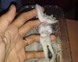 Foto langkah ke 1 dari resep Sotong Masak Hitam.