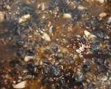 Foto del paso 7 de la receta: Arroz negro con sepia