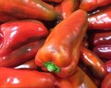 Foto del paso 1 de la receta: Ensalada de pimientos rojos y tomates asados a "la dieta mediterránea"