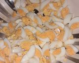 Shawarma sandwichmatakin girki1 hoto