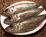 Foto del paso 1 de la receta Jurel del estrecho con anchas al horno