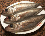 Foto del paso 1 de la receta: Jurel del estrecho con anchas al horno