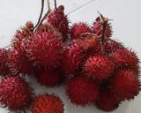 Foto langkah ke 1 dari resep Puding Rambutan.
