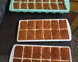 A picture of step 15 of Gajar Pak/ Gajar Ki Burfi.