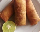 A picture of step 16 of Chicken Spring Rolls.