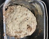 Foto del paso 1 de la receta: Pan de cacao