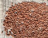 ચીઝ  મસાલા શીંગ (chesse masala peanuts Recipe in Gujarati) રેસીપી સ્ટેપ2ફોટો