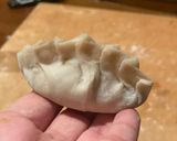Foto del passaggio 4 della ricetta Gyoza