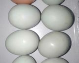 Foto langkah ke 1 dari resep Telur Asin Homemade (Masir).