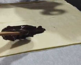 Foto del paso 4 de la receta: Coca de hojaldre con chocolate