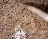 A picture of step 8 of Fried Spaghetti.
