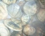 Foto del paso 1 de la receta Cazuela Marinera