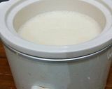 Foto langkah ke 1 dari resep Homemade Yogurt ; healthy and delicious.