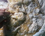 Foto del paso 3 de la receta: Pan dulce con harina integral y harina de avena🎄