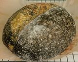 Foto langkah ke 27 dari resep Pandan Charcoal Sourdough Bread (88% - Oven Tangkring).