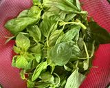 快炒沙茶魷魚￼的食譜步驟1照片