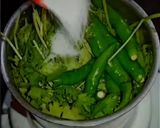 A picture of step 3 of Green Chilli - Coriander Chutney 📌.