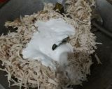 Foto langkah ke 4 dari resep Ayam isian serbaguna untuk sosis solo, lemper, roti.