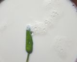 A picture of step 2 of Creamy Homemade yogurt.