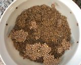 Foto del paso 1 de la receta Lentejas de la abuela con Mambo