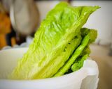 Hình bước làm 1 của món Salad Rau Diếp Cà Chua & Thịt Ba Rọi Rang Cháy Cạnh