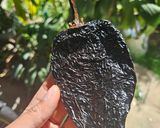 Foto del paso 5 de la receta: Tamales Oaxaqueños