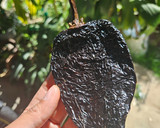 Foto del paso 5 de la receta: Tamales Oaxaqueños
