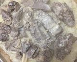 صورة لخطوة 11 من وصفة المنسف الاردني الاصلي من عمل ام حمزة حتاملة